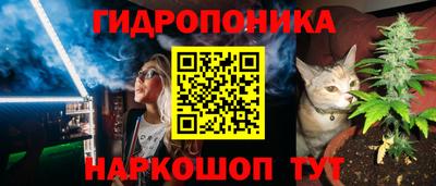 ECSTASY Донской